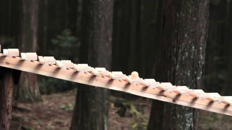 đàn Xylophone khổng lồ chơi nhạc Bach trong khu rừng Nhật đàn Xylophone khổng lồ chơi nhạc Bach trong khu rừng Nhật